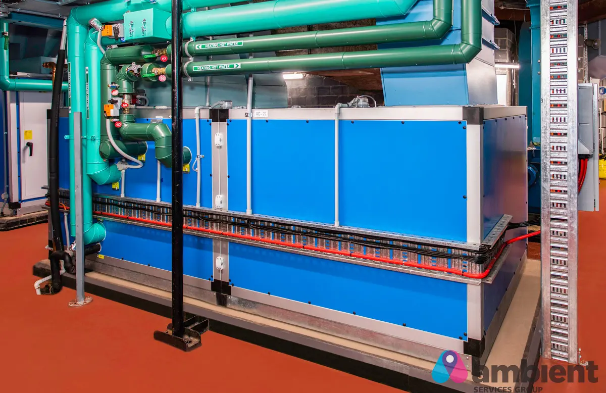 Project: Terrigal Drive, Erina