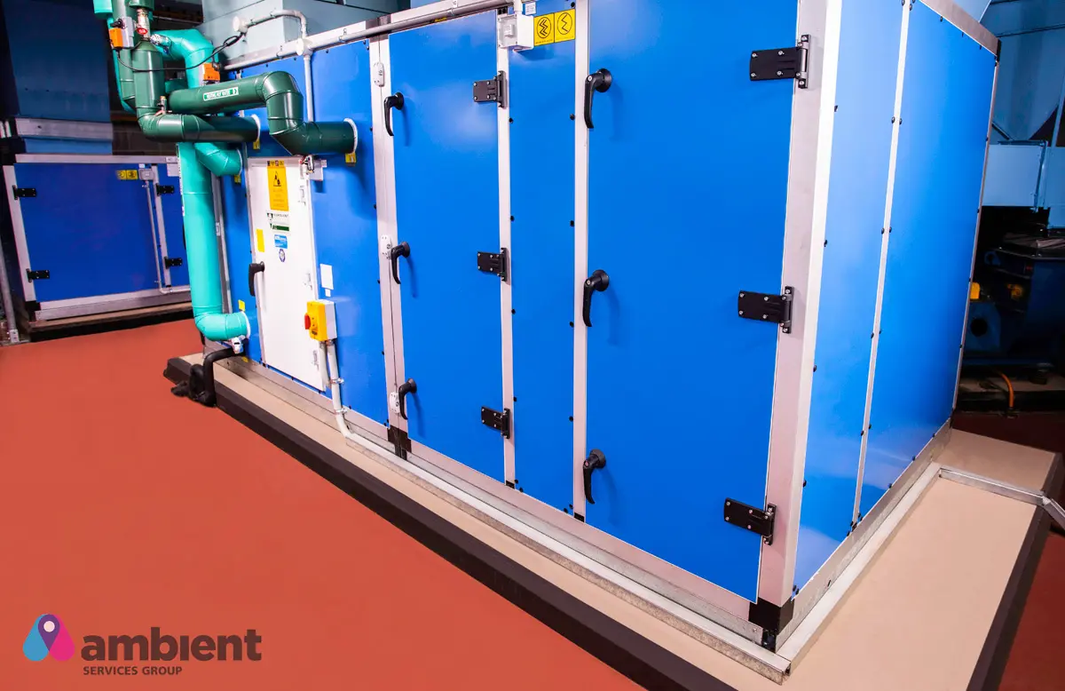 Project: Union Street, Balmain East