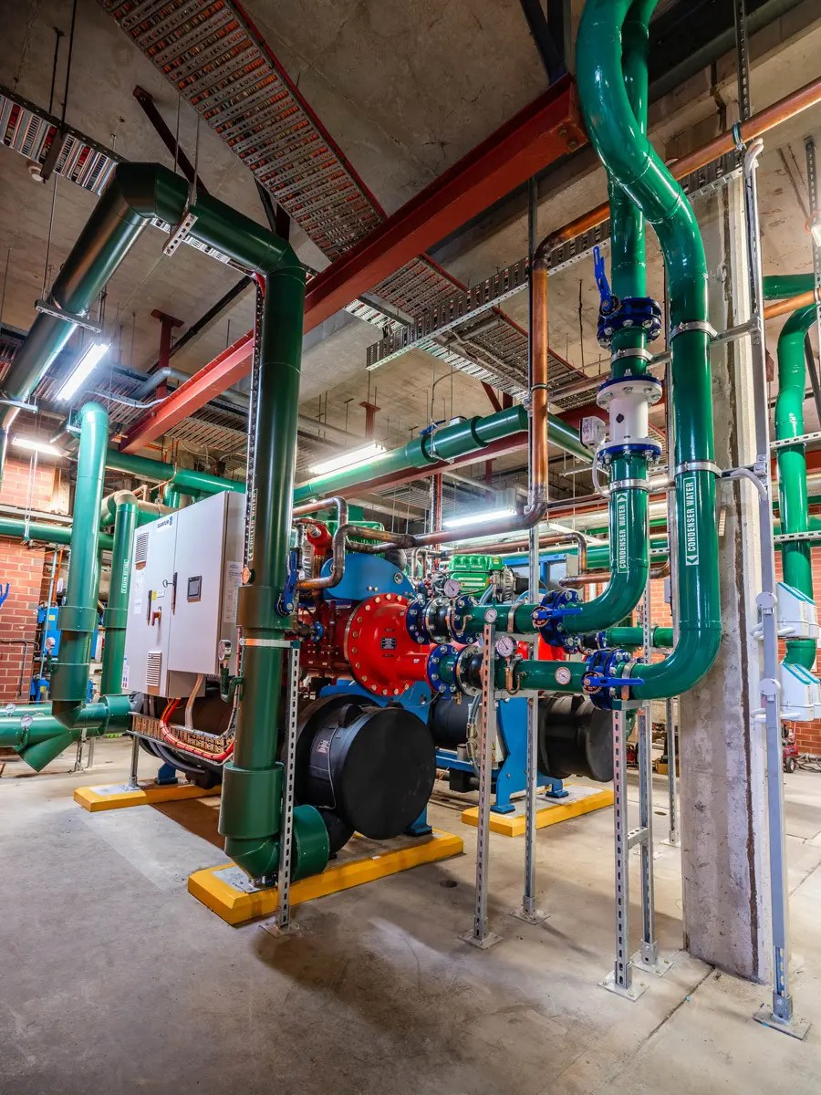 Project: Vaucluse Road, Vaucluse