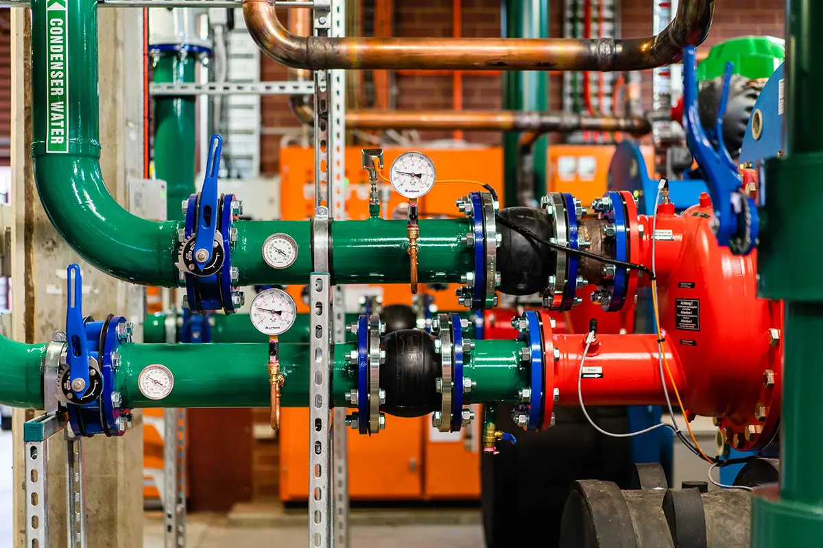 Project: Bay Street, Double Bay